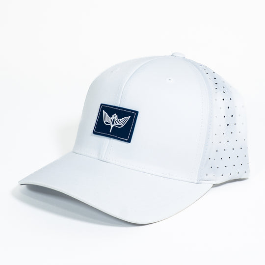 Flyway Snapback