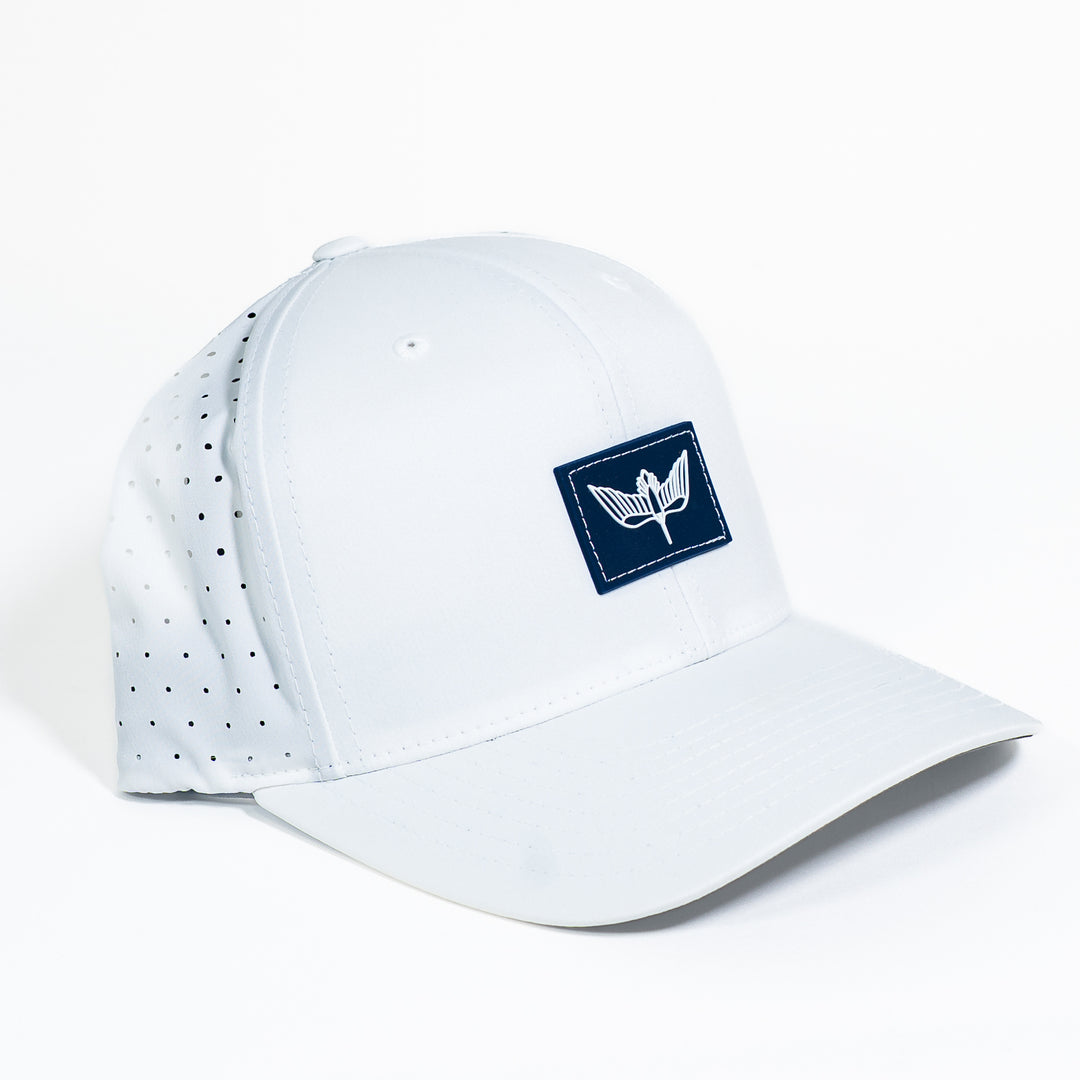 Flyway Snapback