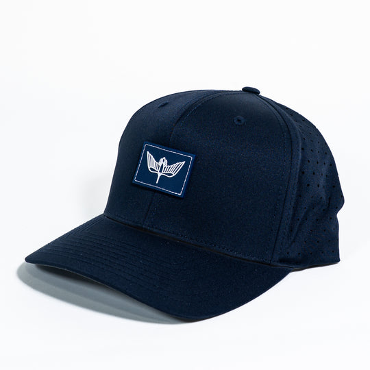 Huddy Snapback